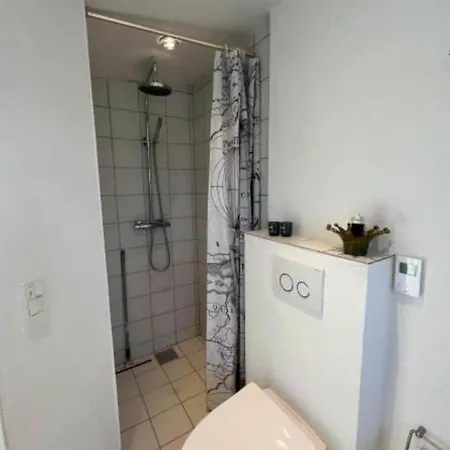 Ae302-aeroskobing-smedegade-19 *