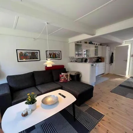 Ae302-aeroskobing-smedegade-19 Tatil Evi *