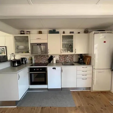 Ae302-aeroskobing-smedegade-19